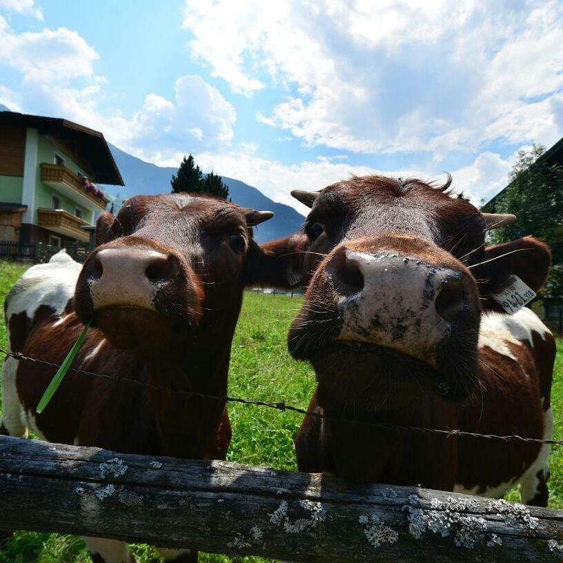 Landhaus Rieser Bad Hofgastein Zewnętrze zdjęcie